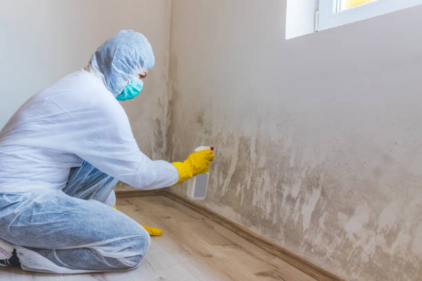 Licensed Crawl Space Mold Removal service in Sand Lake, MI - WQB Mold Removal