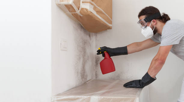 Professional Crawl Space Mold Removal technician working in Sand Lake, MI