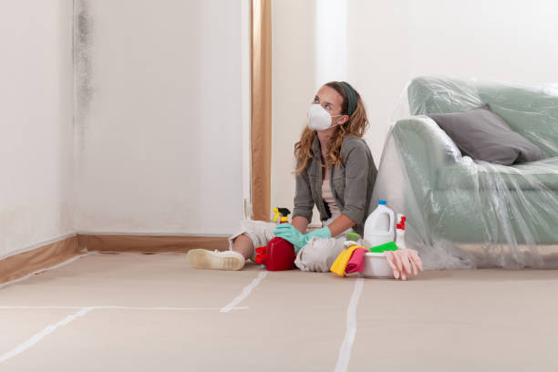 Reliable Crawl Space Mold Removal contractor in Sand Lake, MI by WQB Mold Removal